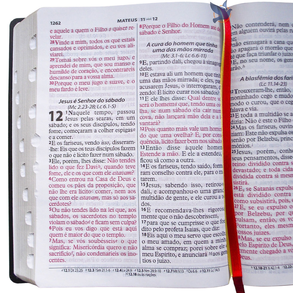 Miniatura: Holy Bible Extragigant Letter João Ferreira de Almeida ARC Almeida Corrected Ma