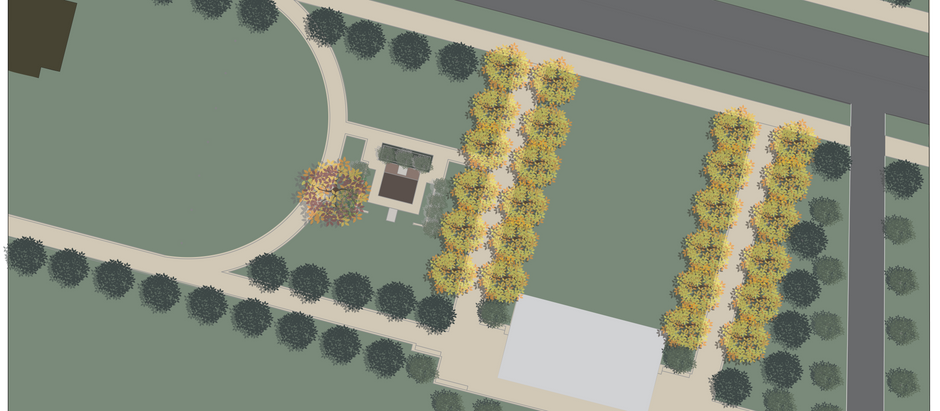 The Terrain of Confirmation: How Bias Hijacks Visual Literacy and Feeds Anti-Intellectualism