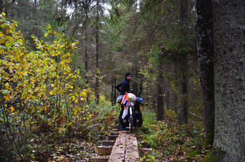 Sur la route de l'ambre