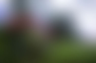 Mais à quoi peut bien ressembler notre quotidien?