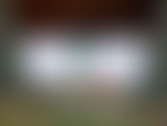 The Philanderers v Flycatchers, Sunday 20th June at Exning Park