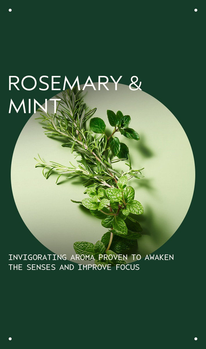 Thumbnail: Aveda Rosemary Mint Hand and Body Wash 8.5 fl oz