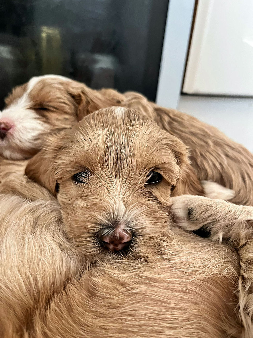 b1946518-e477-4032-a70d-67ad61f10ee2