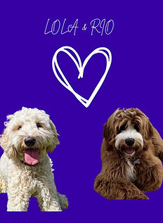 lola and rio.jpg