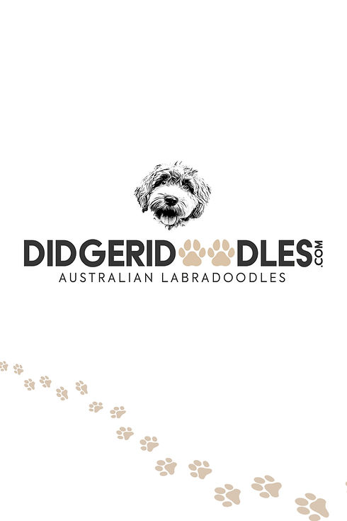 Didgerie Goodie Bags JPG Medium.jpg