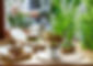 Detpak_delivery19069_A4 Watermark.jpg