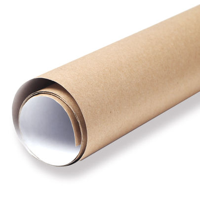 13. Cara Blanca_2.jpg