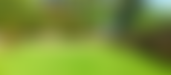 Transform Your Exterior Room with Expert Hardscaping Solutions