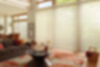 1hunter-douglas-luminette-sheer-panels-1200px-1920w (1) 2.jpeg