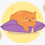 Why Do Cats.png