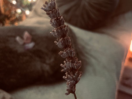 The Chemistry of Calm: What Happens to Your Nervous System During Reflexology