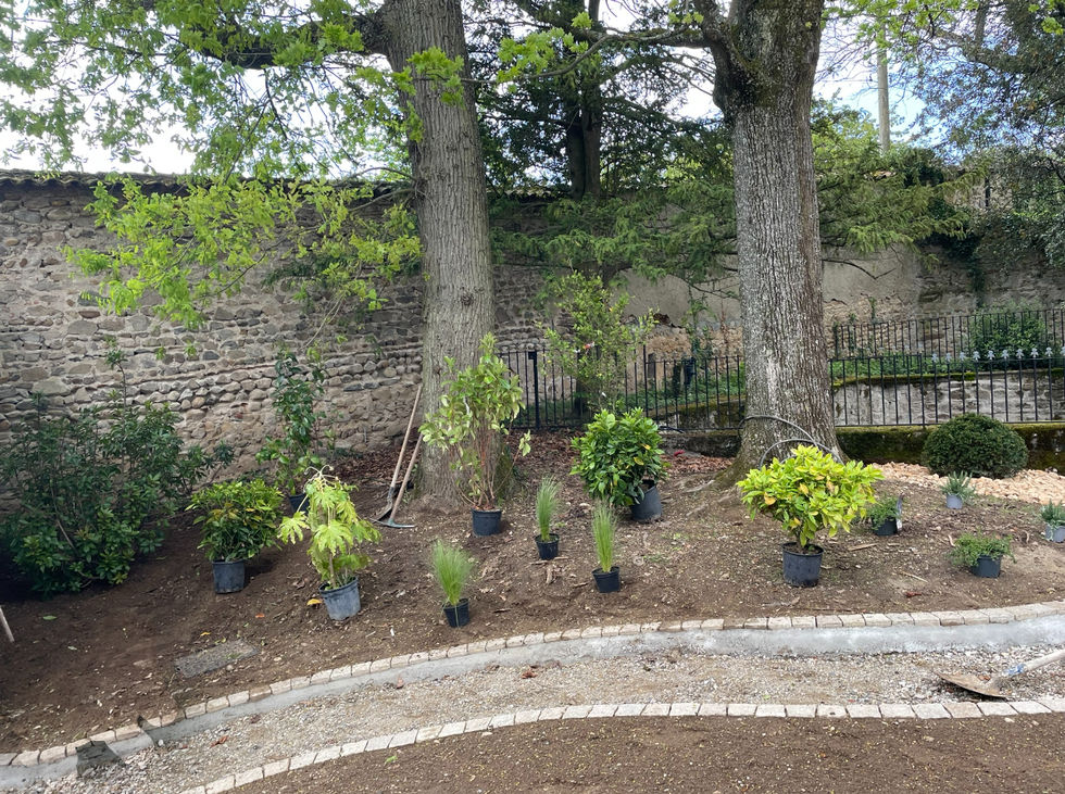 Plantation de massif & vivaces