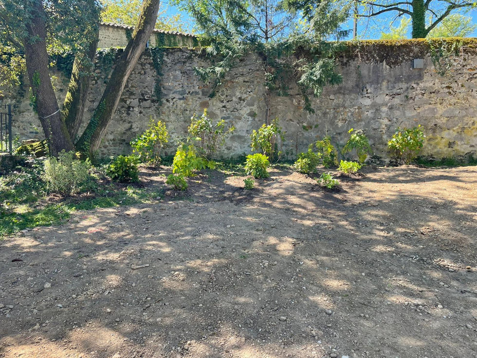 Plantation de massif