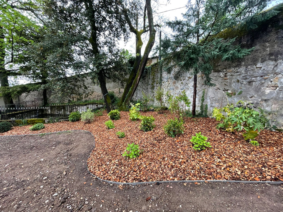 Plantation de massif