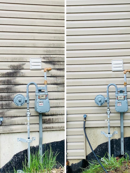 Soft Washing before & after