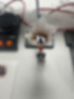 IMG_2863.jpeg