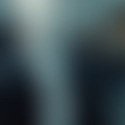 A Look at Specialized Security Groups and Their Services