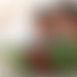 Niveles de comprensión lectora