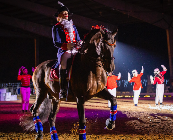 The Monarch show browband with vibrant red Preciosa® crystals and gold accents