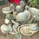 Thumbnail: pile of Mini Abalone Shells