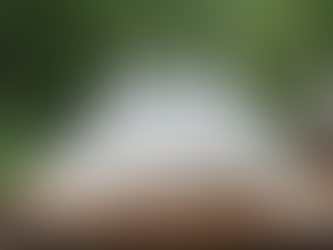 Real vs Fake How to Spot Authenticity in Today’s Marketplace