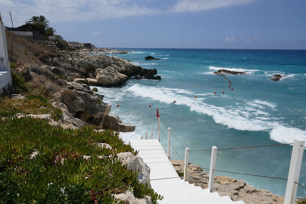Orchid Beach