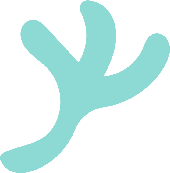 Shape7.png
