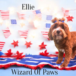 Photoroom_20250704_091759