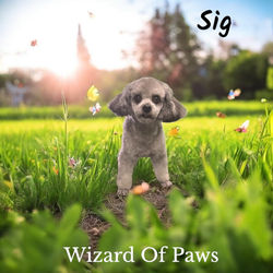 Photoroom_20250519_213026