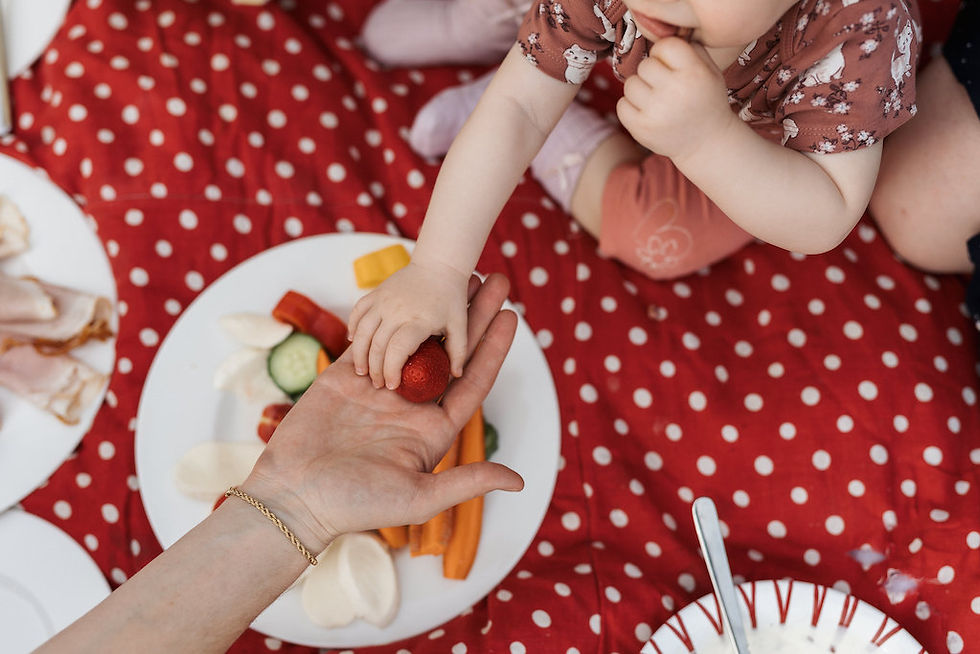 Infoveranstaltung: IBE Seminarreihe (für Familienberater*innen)