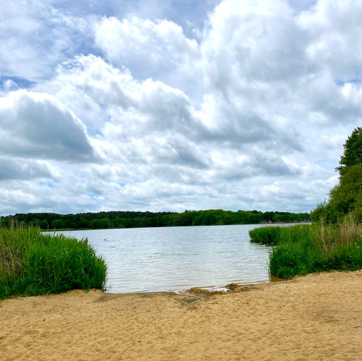 The sandy beach at Frensham Pond
