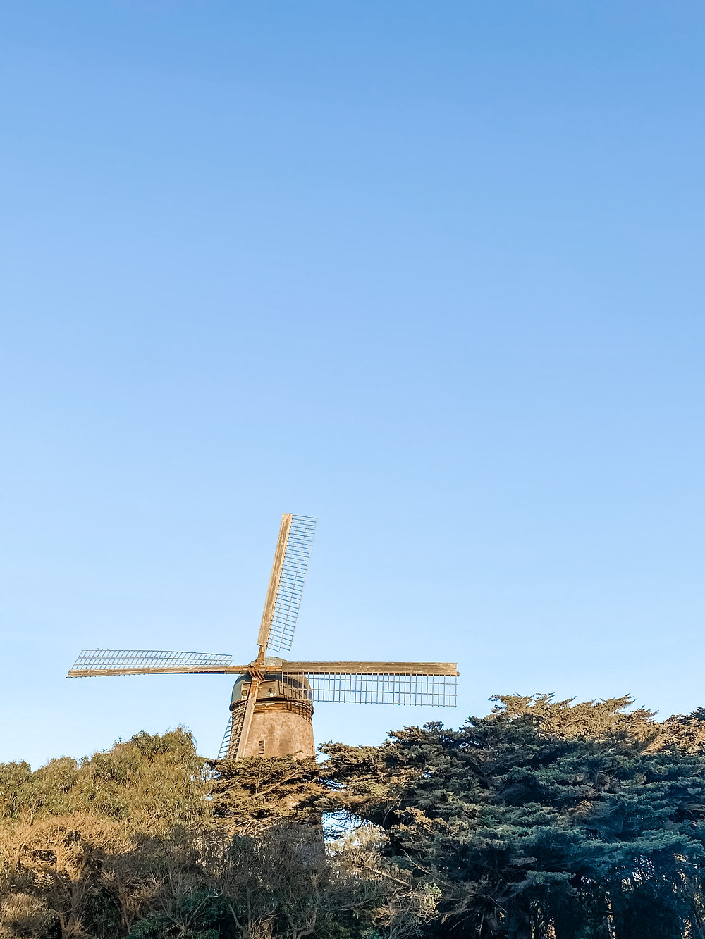Dutch Windmill in Golden Gate Park, San Francisco
