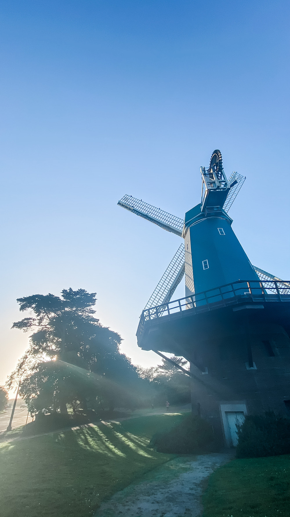 Murhpy Windmill in Golden Gate Park, San Francisco