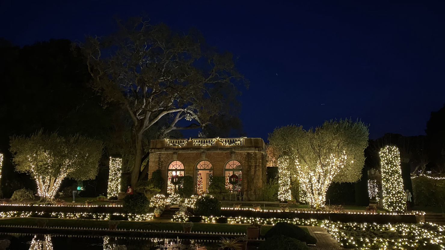 Filoli Christmas lights