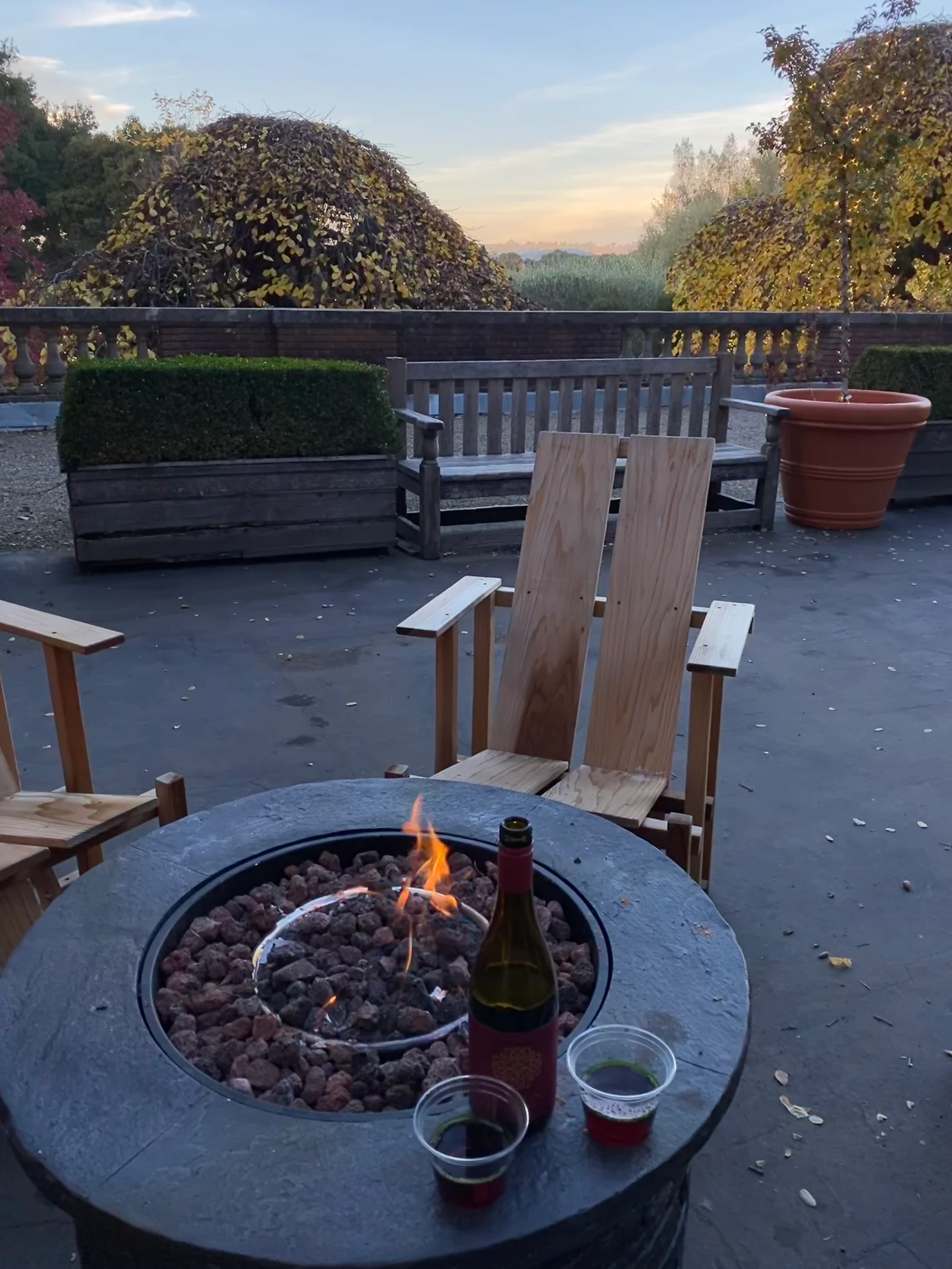 Filoli garden at sunset