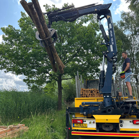 vrachtwagen laadt kastanje stammen uit