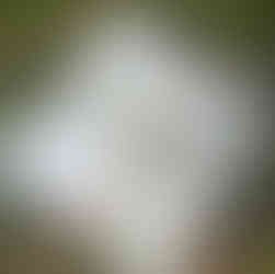 schets boomhut platform