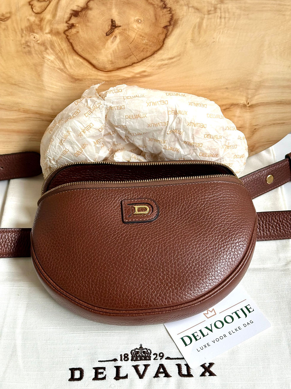 Thumbnail: Delvaux Musette