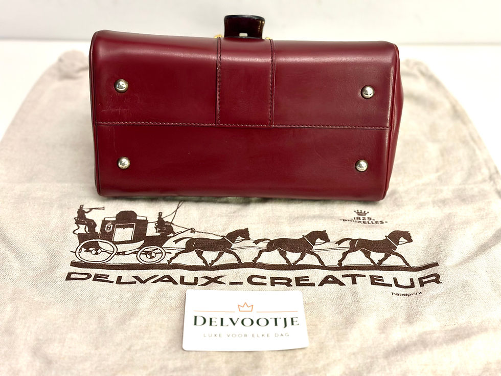 Thumbnail: Delvaux Brillant PM