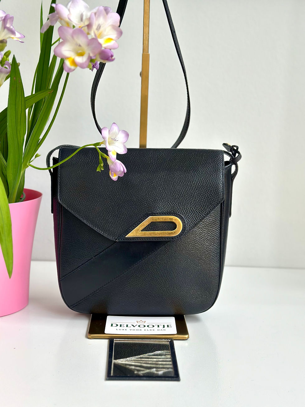Thumbnail: Delvaux Radieux