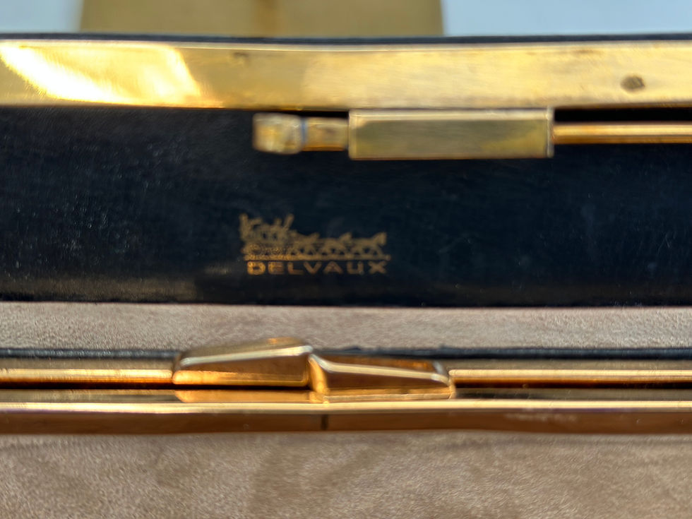 Thumbnail: Delvaux vintage