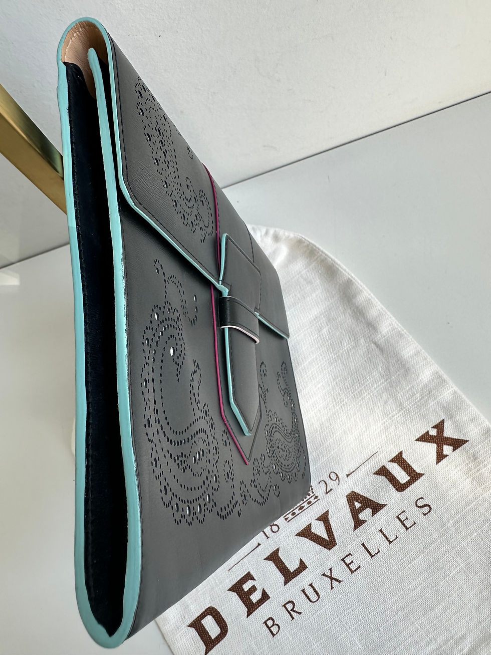 Thumbnail: Delvaux clutch