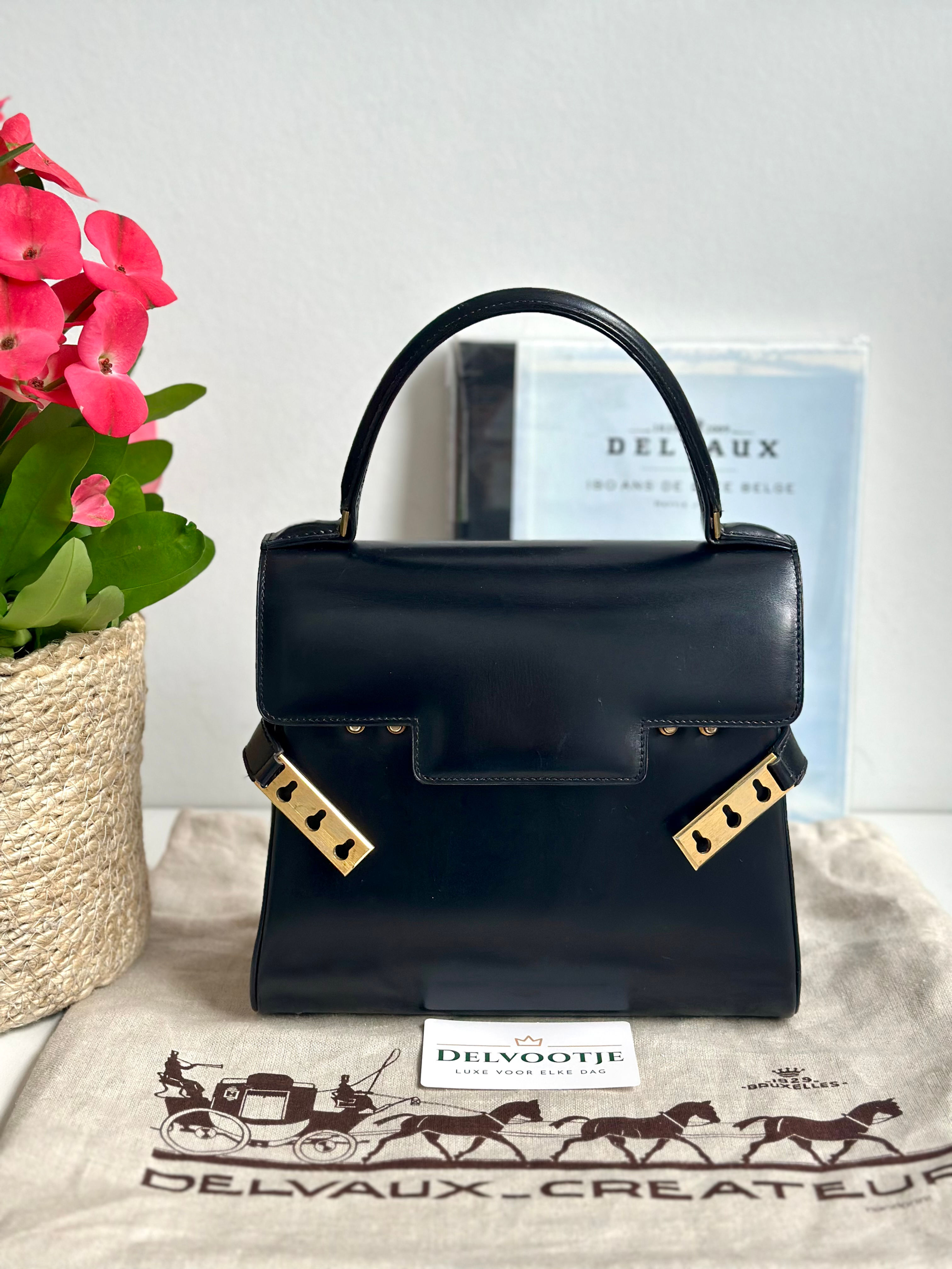 Delvaux Tempête PM