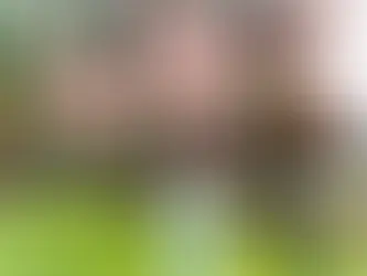 Why I Chose Political Science: Or Did It Choose Me Instead?