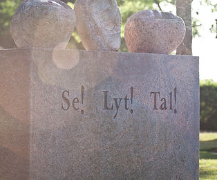 Idom_Skole_DSLR_bluevanphotovideo (6 of 70).jpg