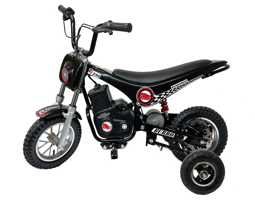 Electric Mini Bike, TT250 with Training Wheels "FREE SHIPPING" 524.95 $
