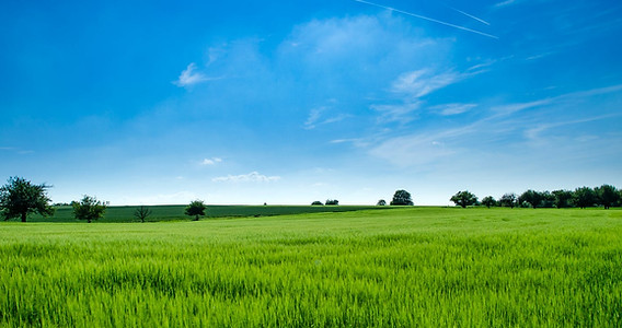 Enviro friendly2.jpg