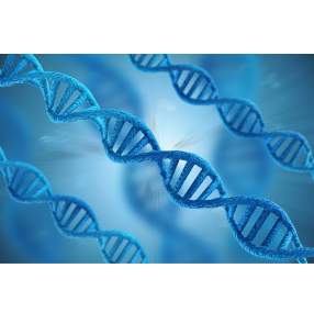 Wix Science Images.png