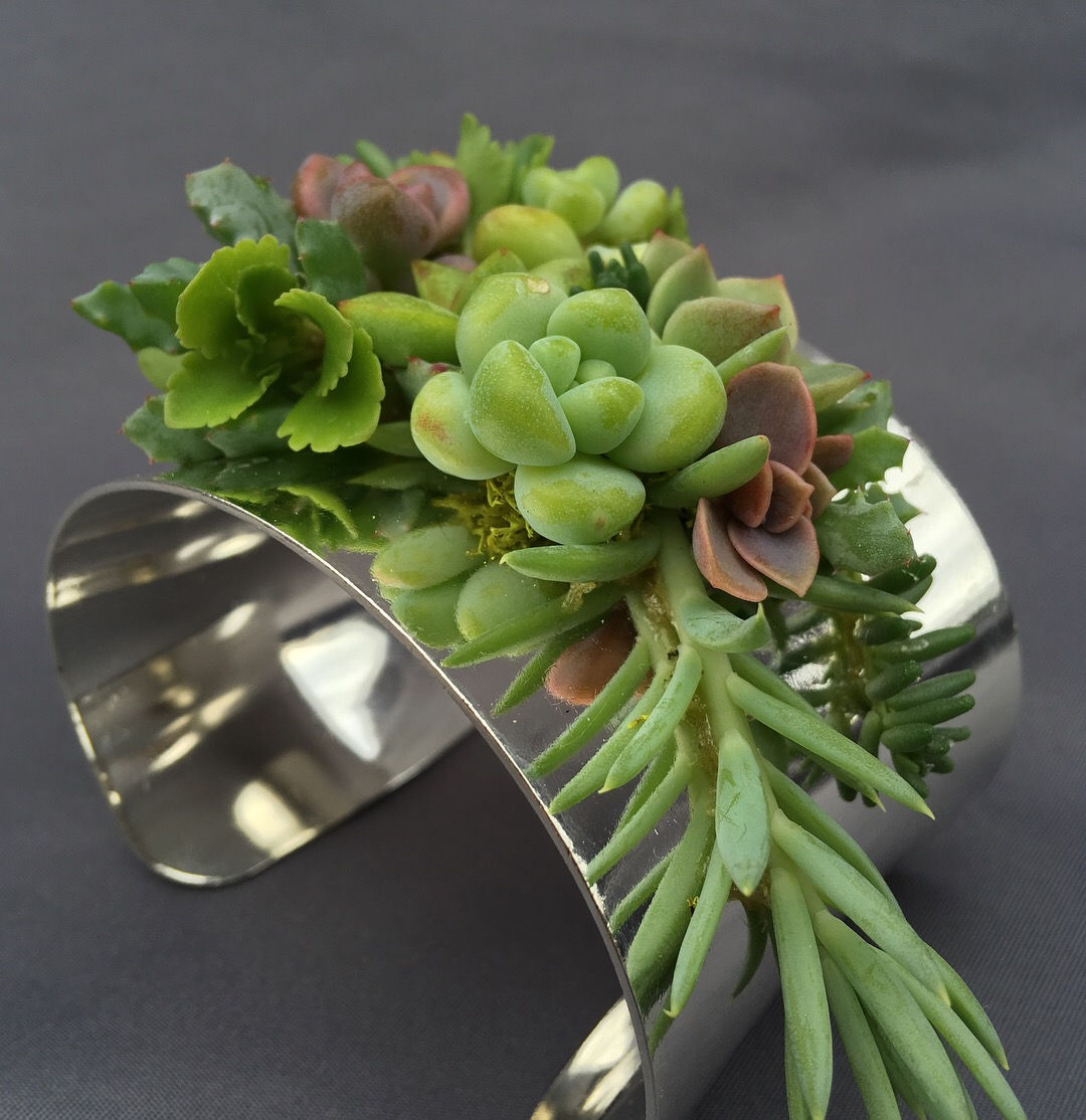 Medium Succulent Cuff