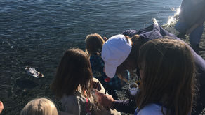Fall Girls Circle Session Review